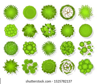 Top view tree. Aerial landscape green planting, park map vegetation and tropical forest plan elements from above vector garden designing topview for landscaping set