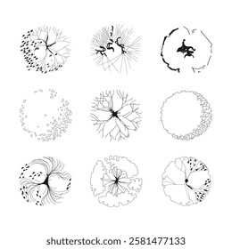 Top view of tree illustration isolated on white background. Set of icons