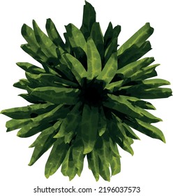 Top view tree ( Interior Plant ) illustration vector