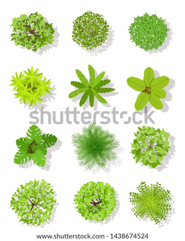 Similar – Image, Stock Photo View to the tree tops of the coastal fir