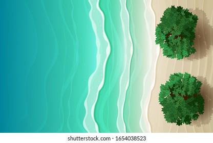 top view tree on the beach in summer
