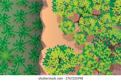 top view tree on the cliff in the forest