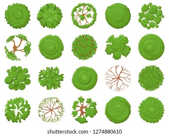 Top view tree. Planting green trees, park map vegetation and tropical forest maps viewing from above. Landscape garden tree planting design vector illustration isolated icons set