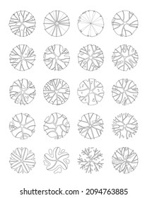 Top view tree vector set isolated on white background.