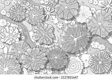 conjunto de vectores de árbol de vista superior para diseño arquitectónico y paisajístico con sitio de jardín.