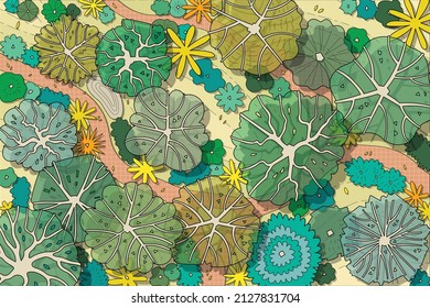 top view tree vector set for architectural and landscape design with garden site.