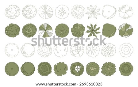 Top view trees for architectural plans and landscape design. Minimal vector illustration for urban planning, site plans, and architectural entourage.