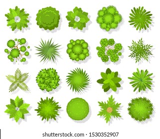Top view trees and bushes. Aerial landscape elements. Forest and tropical tree, green park bush map icons look from above vector landscaping abstract plans outdoors set