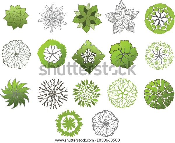 Top View Trees Layout Template Stock Vector (Royalty Free) 1830663500 ...