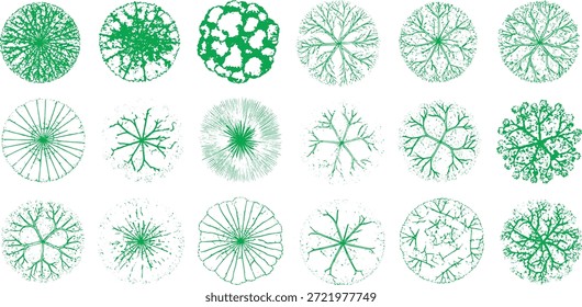 Vista superior árvores definidas para o plano de paisagem, símbolos de vegetação arquitetônica, ícones de vetor plano verde para o projeto de jardim e mapas masterplan.