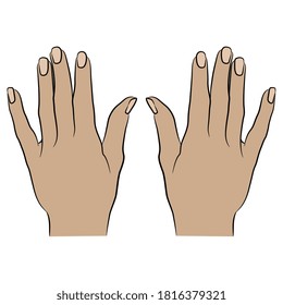 Top view of two female Caucasian hands. Cartoon style.	