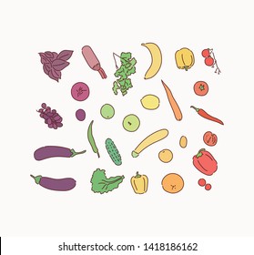 Top view of various fresh vegetables. Hand drawn style vector design illustrations.