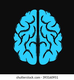 Top view of the vector blue human brain.