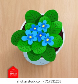 Top view vector illustration of flower in pot with realistic shadow on wooden desk background.