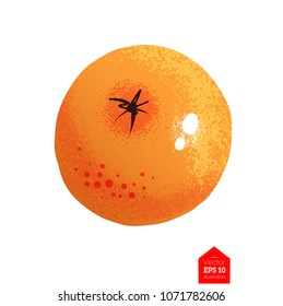 Top view vector illustration of orange fruit isolated on white background.