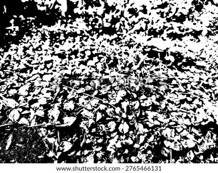 Top view vector illustration of wild groundcover plants with small flowers. High contrast black and white graphic texture of nature foliage, perfect for botanical aneted organic background designs.