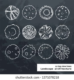 Top view vector outline set of different trees.Hand drawn illustration for landscape design, plan, maps.Collection of trees, isolated on the chalky background.