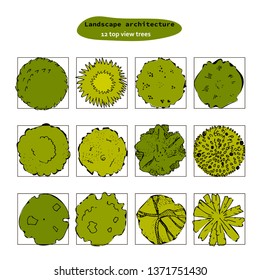 Top view vector set of different green trees.Hand drawn illustration for landscape design, plan, maps.Collection of trees, isolated on the white background.