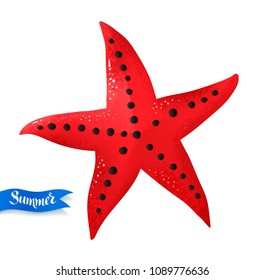 Top view vector summertime illustration of starfish isolated on white background.