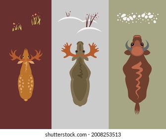 top view vector ungulates  animals: deer, elk, bison