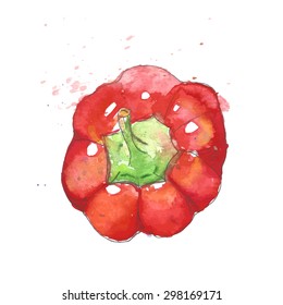 Top view Vector watercolor red bell pepper isolated on white background. Closeup capsicum. Healthy food, vegetable. Illustration hand painting by watercolor on the paper.