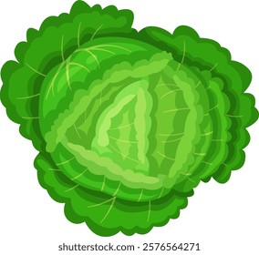 Top view of a vibrant green cabbage, showcasing its intricate leaf patterns and lush color. Perfect for illustrating freshness, healthy eating, and natural produce themes