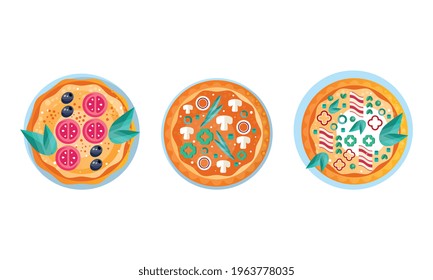 Top View of Whole Pizza Set, Freshly Baked Pizza with Various Ingredients Flat Vector Illustration