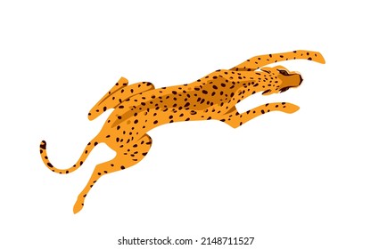 Vista superior del animal leopardo salvaje. Fauna tropical de la fauna silvestre, gato exótico de la jungla, pantera manchada peligrosa, sabana carnívora más rápida, cazador de mamíferos africanos ilustración vectorial