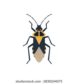 Top View of a Yellow and Black Stink Bug Insect Illustration Isolated on Plain White Background