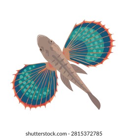 A top-down digital illustration of a flying gurnard fish featuring distinct brown patterned body and large colorful fan-like pectoral fins against a white background