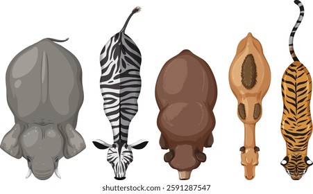 Top-down illustration of five different wild animals