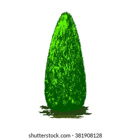 topiary as an element of landscaping design, computer drawing,  vector, silhouette, linear, illustration