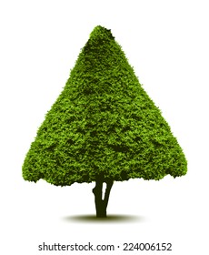 Topiary Landscape Plant In The Form Of A Christmas Tree. Vector