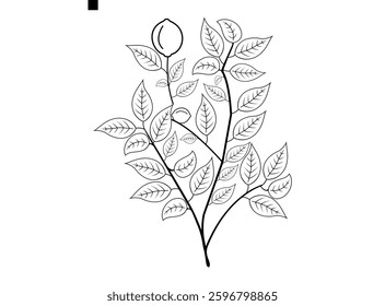 Topiary lemon tree. Tree Icons Set in Black and White, Various Shapes.