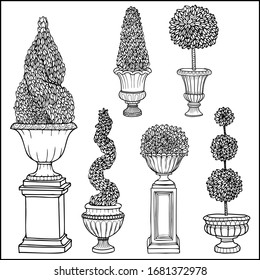 Topiary tree antique vase garden