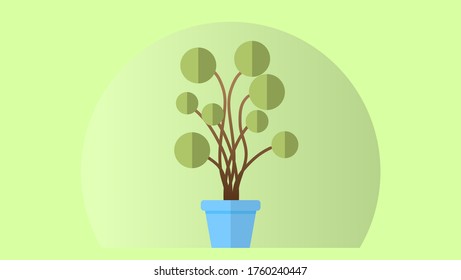 Topiary trees in the pot, illustration of decorative trees.Eps10 vector