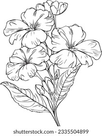 Topical  primerose coloring pages. pansy flower line art, pansy flower tattoo designs, Realistic flower coloring pages, primrose flower vector sketch traditional primrose tattoo,s and primula tattoos.