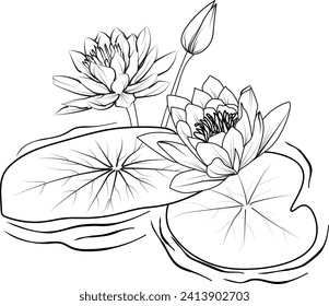 Topicial waterlily coloring pages. waterlily line art, waterlily tattoo designs, Realistic flower coloring pages, lotus vector sketch, traditional waterlily tattoo, Nymphaea water lily tattoo