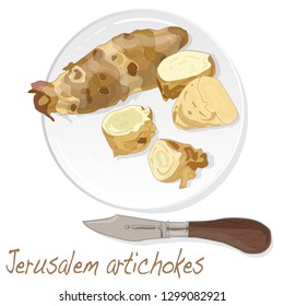 Topinambour. Jerusalem artichoke on plate vector illustration set. White background.