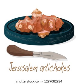 Topinambour. Jerusalem artichoke on plate vector illustration set. White background.