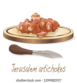 Topinambour. Jerusalem artichoke on plate vector illustration set. White background.