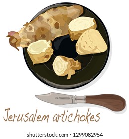 Topinambour. Jerusalem artichoke on plate vector illustration set. White background.