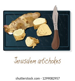 Topinambour. Jerusalem artichoke on plate vector illustration set. White background.