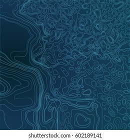 Topographic abstract background. Geographic contour relief map. Stylized linear land and water surface. Vector monochrome illustration.