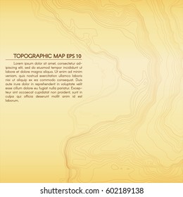 Topographic abstract background with space for your text. Contour relief map. Geographic linear terrain. Vector illustration.