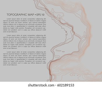 Topographic abstract background with space for your text. Contour relief map. Geographic linear terrain. Vector illustration.