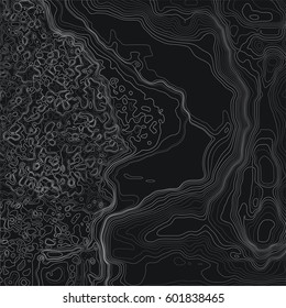 Topographic abstract map. Abstract black and white background. Natural terrain stylization. Vector illustration.