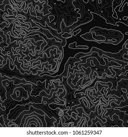 Topographic background. Contour elevation topographic vector map. Geographic grid abstract vector illustration. Mountain, cartography, earth, nature, travel concept. Wireframe backdrop. Black, White.