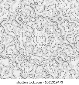 Topographic background. Contour elevation topographic vector map. Geographic grid abstract vector illustration. Mountain, cartography, earth, nature, travel concept. Wireframe backdrop. Black, White.