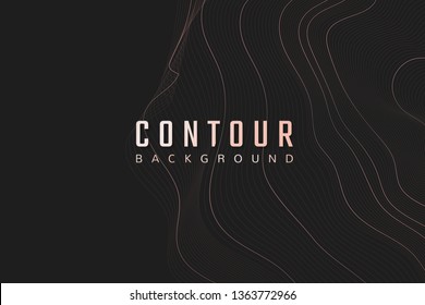 Topographic contour lines background vector